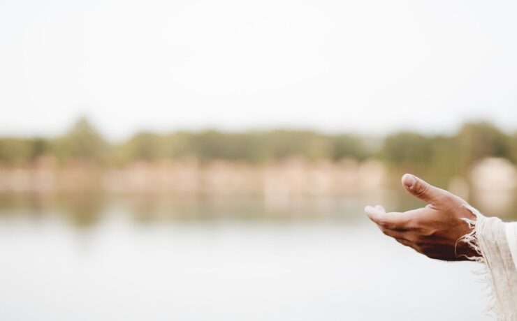 transfiguracion del señor